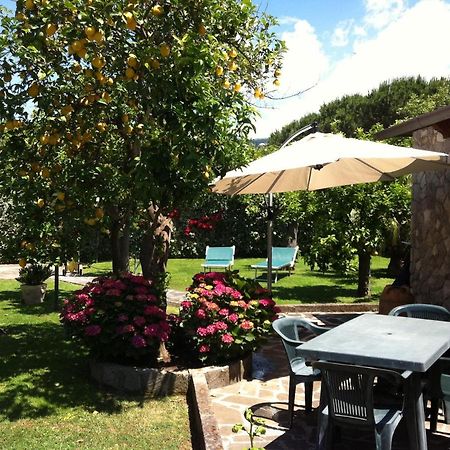 Chalet Claudia Sant'Agnello Exterior foto